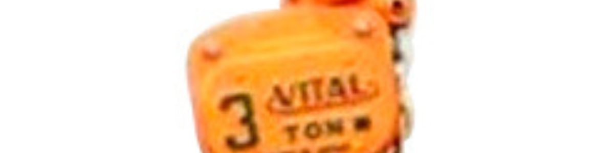 Diferencial vital japonesa